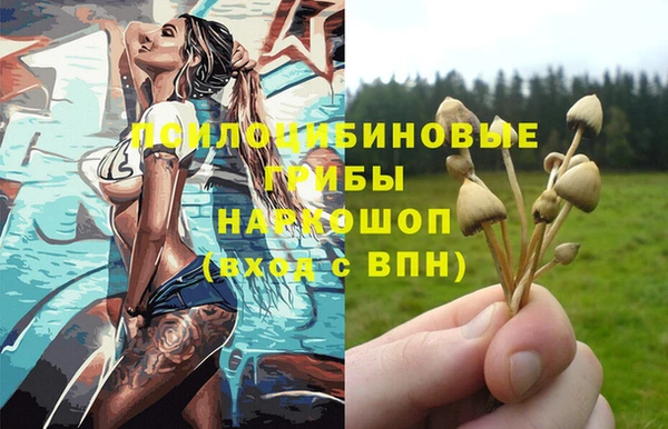 a pvp Абинск