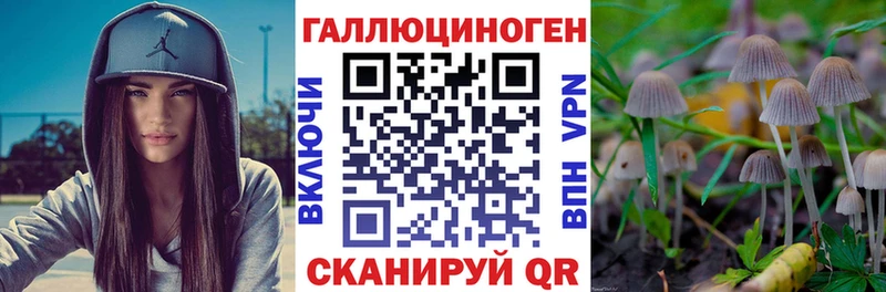 МЕГА ссылки  Карпинск  Галлюциногенные грибы Magic Shrooms 