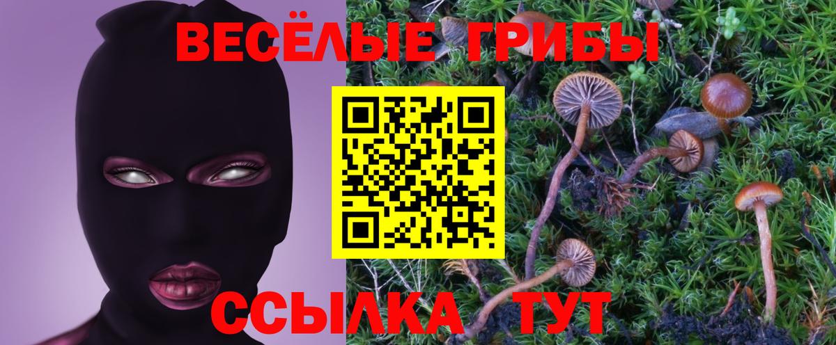 ТГК  ГАШИШ  МЕТ  Кокаин  Лсд 25  Каннабис  Карпинск  Вход с VPN  МЕФ кристаллы 