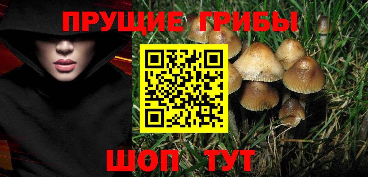 Псилоцибиновые грибы прущие грибы Карпинск