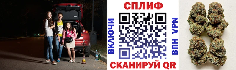 как найти закладки  Карпинск  МАРИХУАНА планчик 